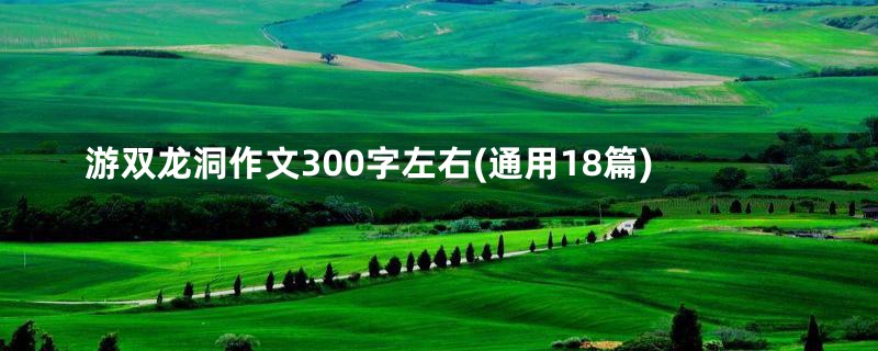 游双龙洞作文300字左右(通用18篇)