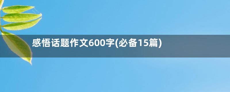 感悟话题作文600字(必备15篇)