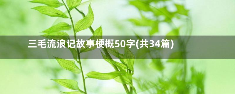 三毛流浪记故事梗概50字(共34篇)