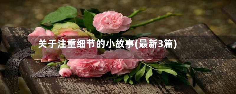 关于注重细节的小故事(最新3篇)