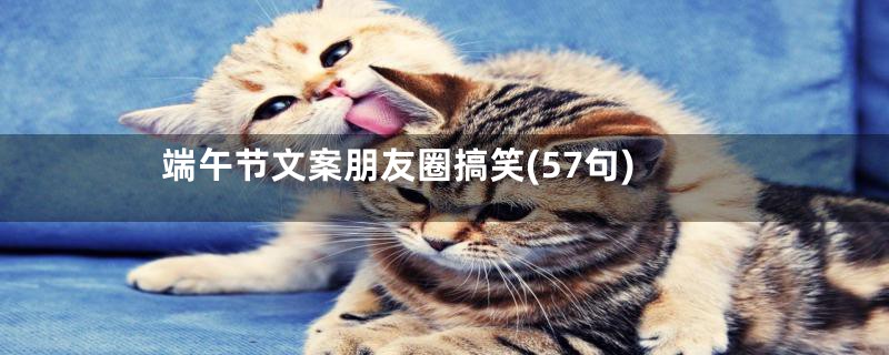 端午节文案朋友圈搞笑(57句)