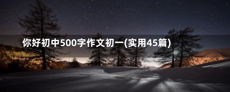 你好初中500字作文初一(实用45篇)