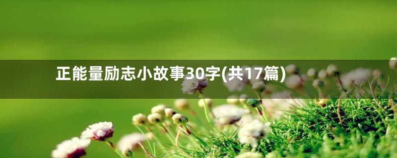 正能量励志小故事30字(共17篇)