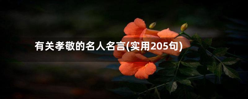 有关孝敬的名人名言(实用205句)