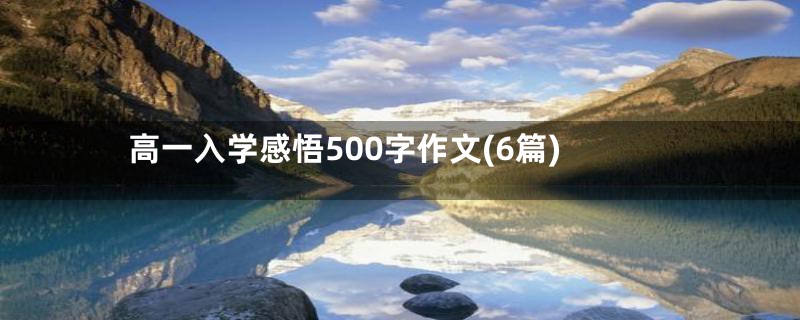 高一入学感悟500字作文(6篇)