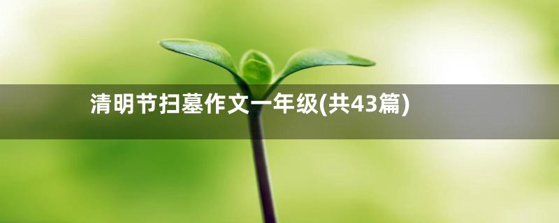 清明节扫墓作文一年级(共43篇)