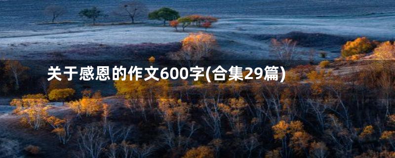 关于感恩的作文600字(合集29篇)