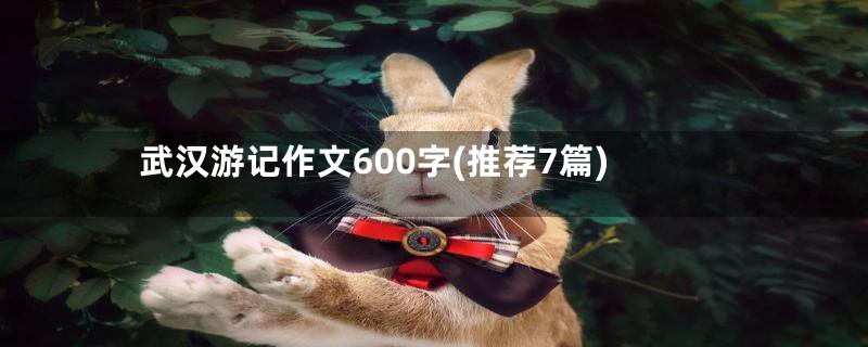 武汉游记作文600字(推荐7篇)