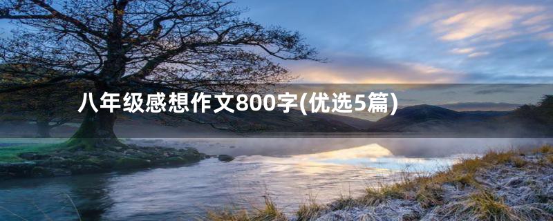 八年级感想作文800字(优选5篇)