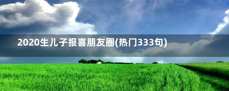 2020生儿子报喜朋友圈(热门333句)