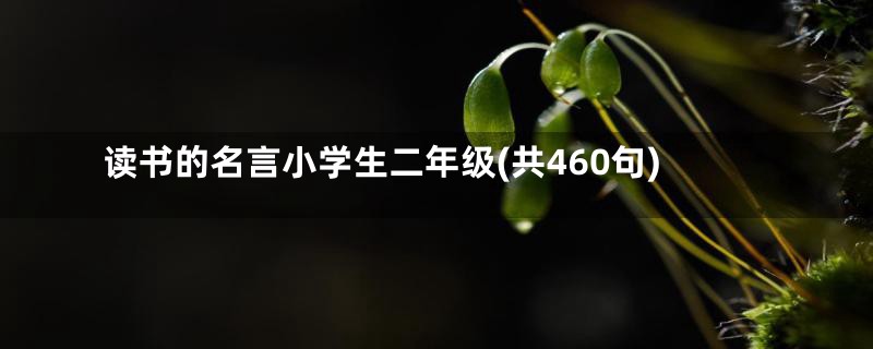 读书的名言小学生二年级(共460句)