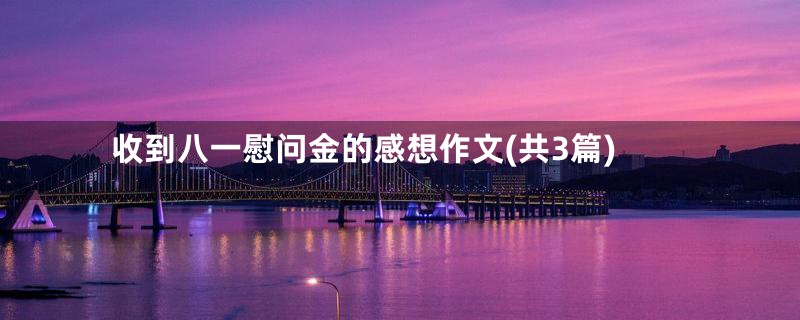 收到八一慰问金的感想作文(共3篇)