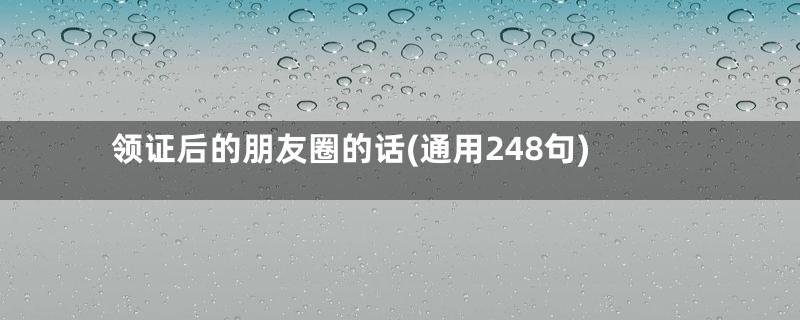 领证后的朋友圈的话(通用248句)