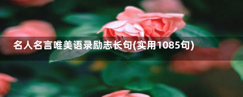 名人名言唯美语录励志长句(实用1085句)