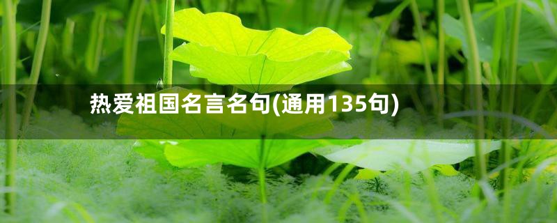 热爱祖国名言名句(通用135句)