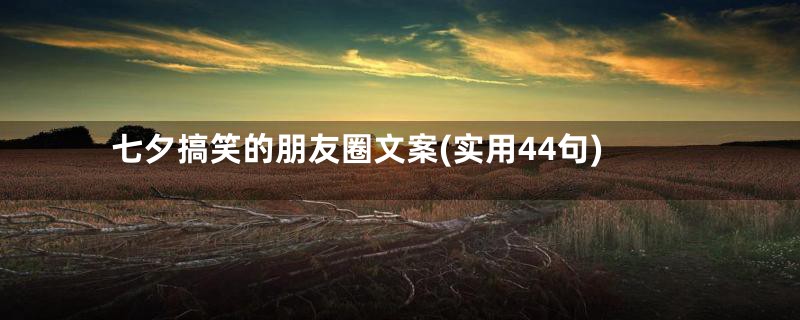 七夕搞笑的朋友圈文案(实用44句)