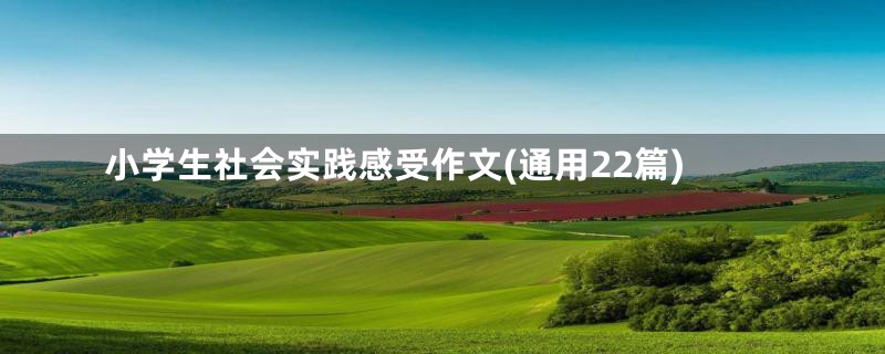 小学生社会实践感受作文(通用22篇)