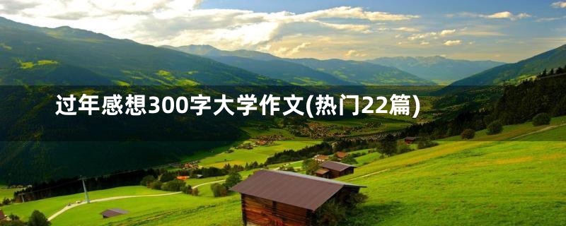 过年感想300字大学作文(热门22篇)