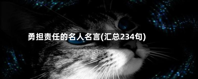 勇担责任的名人名言(汇总234句)