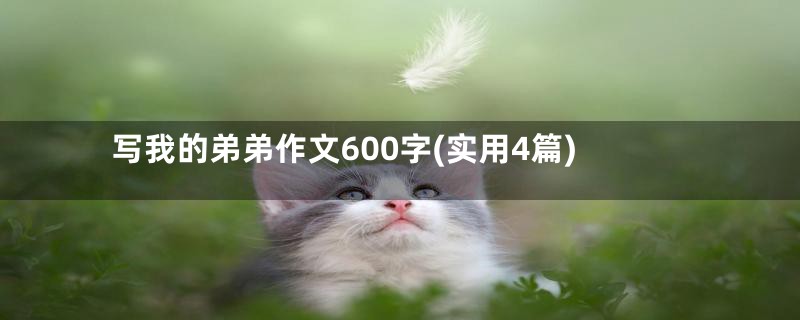 写我的弟弟作文600字(实用4篇)