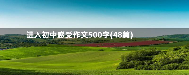 进入初中感受作文500字(48篇)