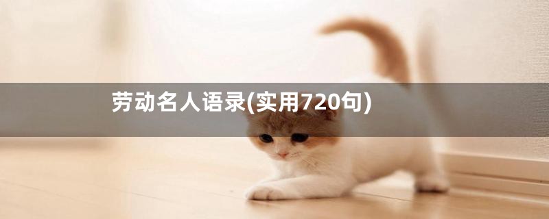 劳动名人语录(实用720句)