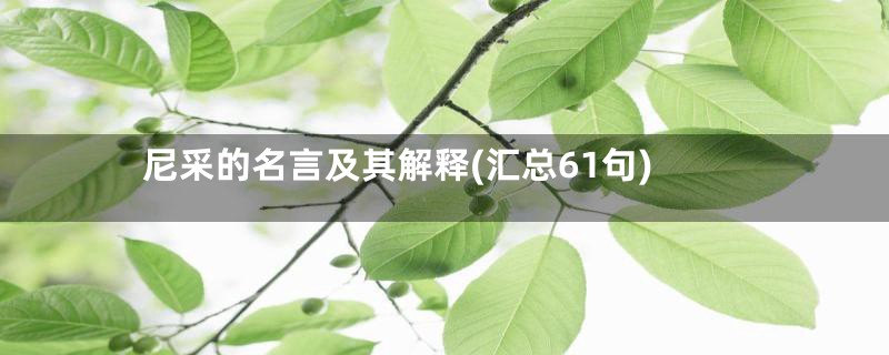 尼采的名言及其解释(汇总61句)