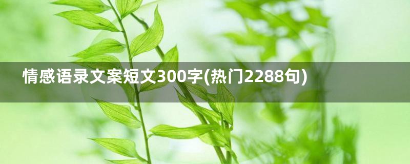 情感语录文案短文300字(热门2288句)