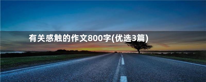 有关感触的作文800字(优选3篇)