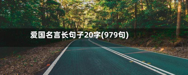 爱国名言长句子20字(979句)