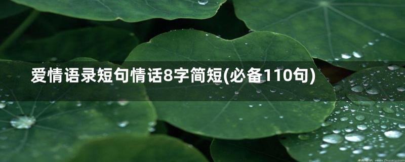 爱情语录短句情话8字简短(必备110句)