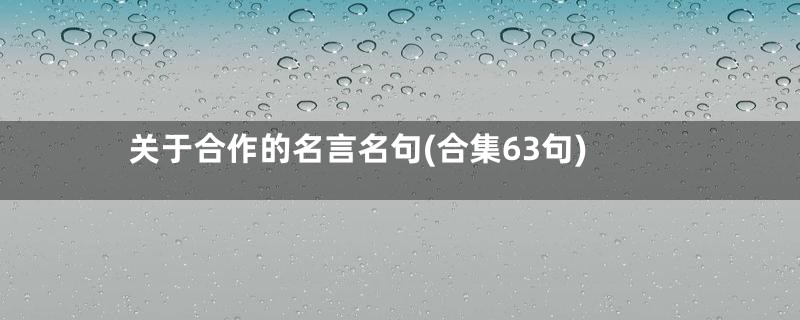 关于合作的名言名句(合集63句)