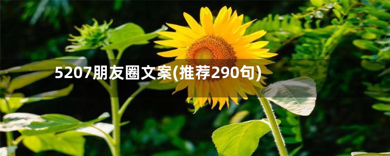 5207朋友圈文案(推荐290句)