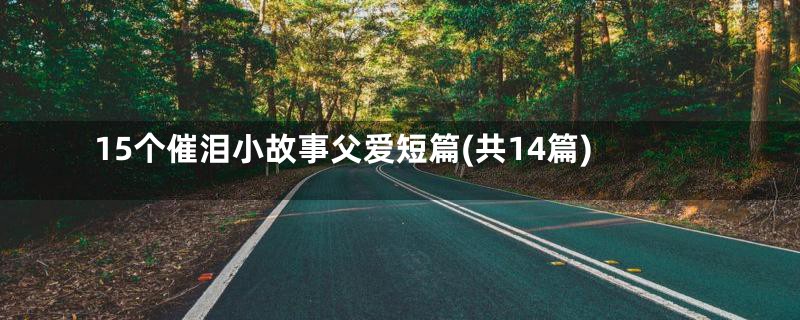 15个催泪小故事父爱短篇(共14篇)