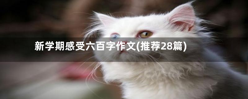 新学期感受六百字作文(推荐28篇)