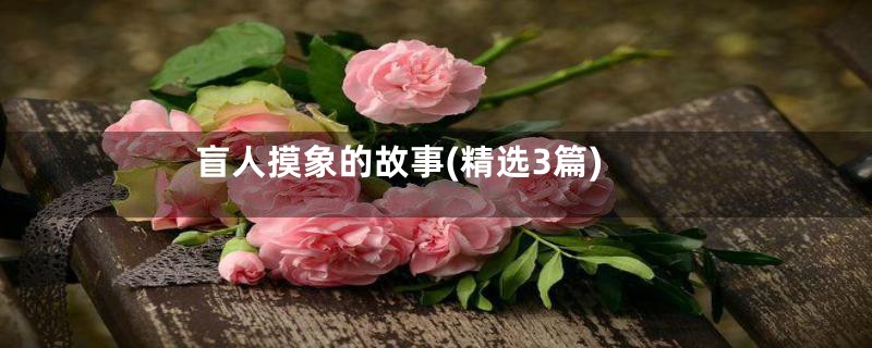 盲人摸象的故事(精选3篇)