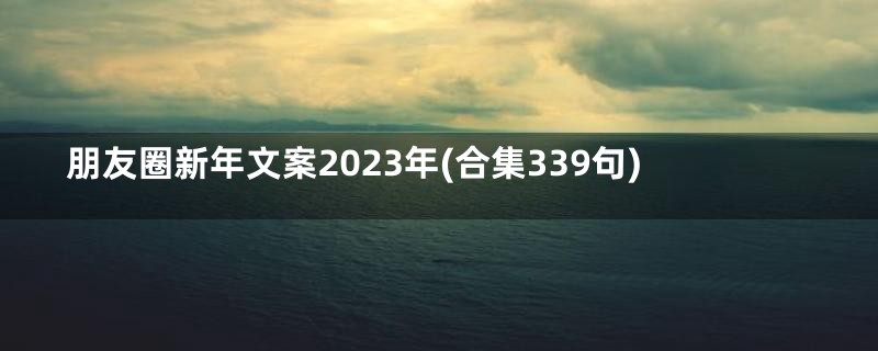 朋友圈新年文案2023年(合集339句)