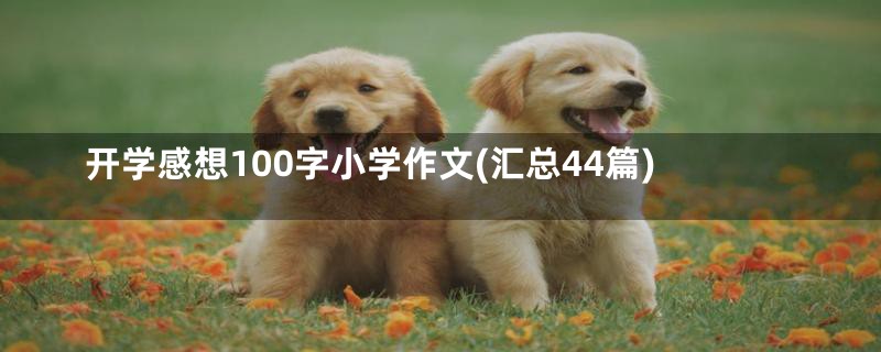 开学感想100字小学作文(汇总44篇)