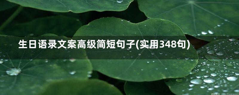 生日语录文案高级简短句子(实用348句)