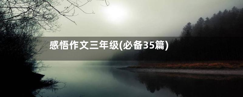 感悟作文三年级(必备35篇)