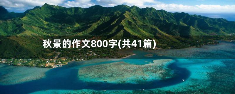 秋景的作文800字(共41篇)