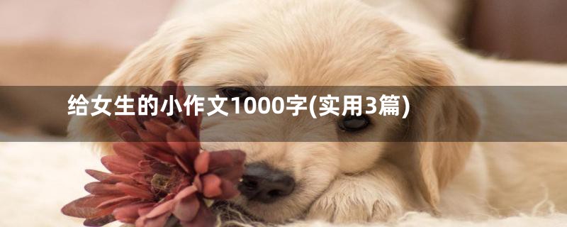 给女生的小作文1000字(实用3篇)