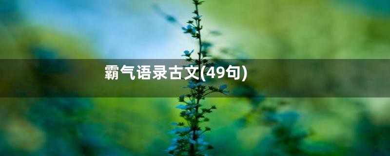 霸气语录古文(49句)