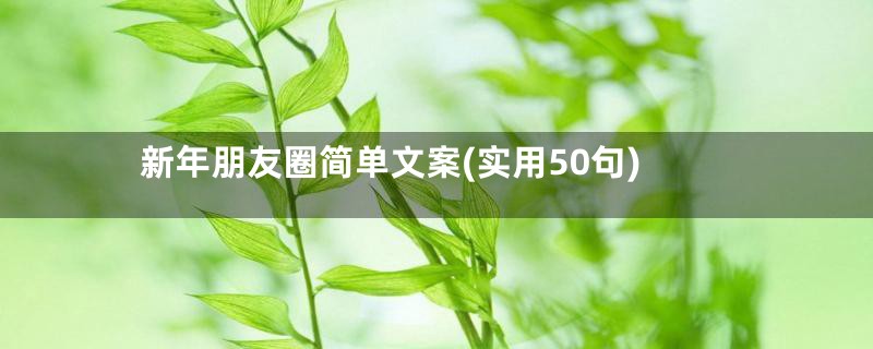 新年朋友圈简单文案(实用50句)