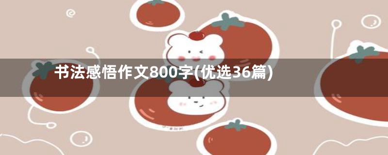 书法感悟作文800字(优选36篇)