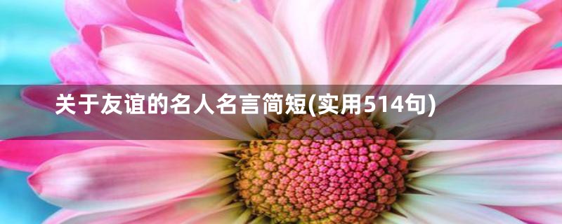 关于友谊的名人名言简短(实用514句)