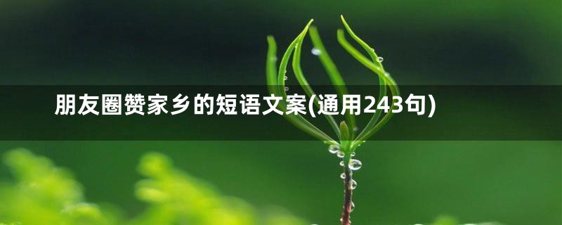 朋友圈赞家乡的短语文案(通用243句)