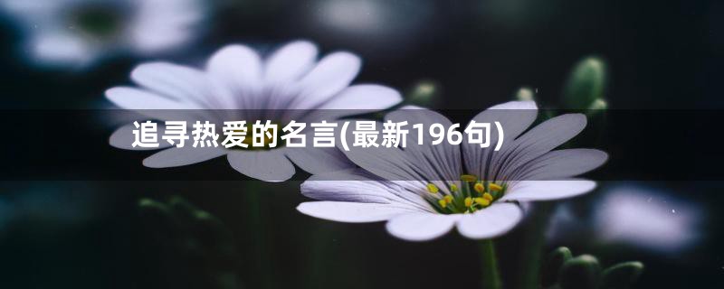 追寻热爱的名言(最新196句)