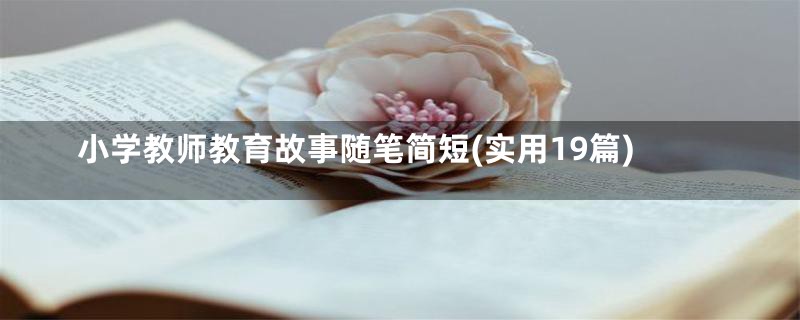 小学教师教育故事随笔简短(实用19篇)