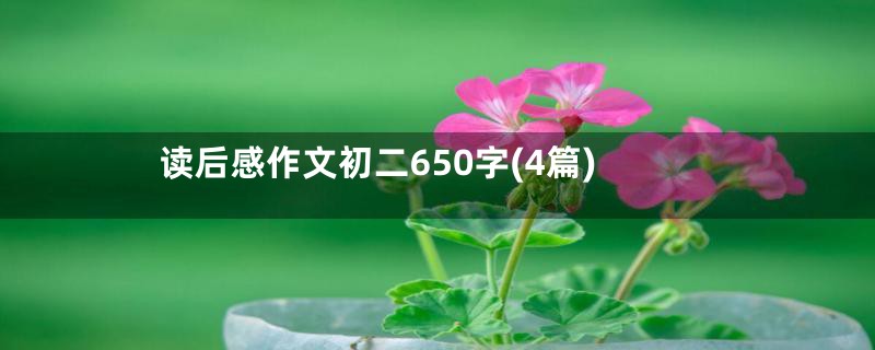 读后感作文初二650字(4篇)